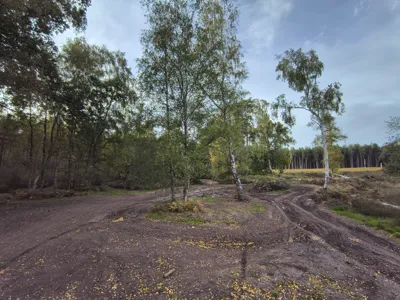 Photo on Public Off-Road Park