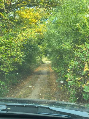 Photo on Hickling Lane