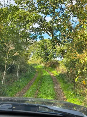 Photo on Hickling Lane