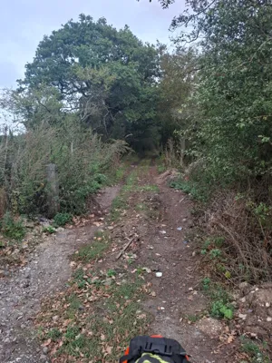 Photo on Green Lane