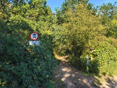 Green lane photo
