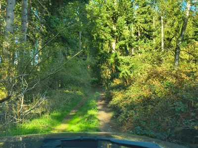 Green lane photo