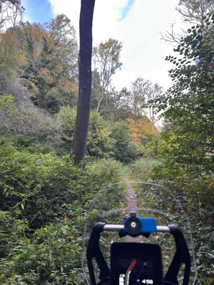 Green lane photo