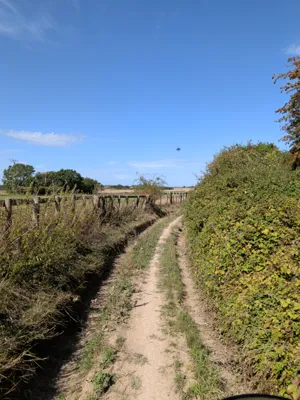 Green lane photo