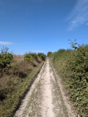 Green lane photo