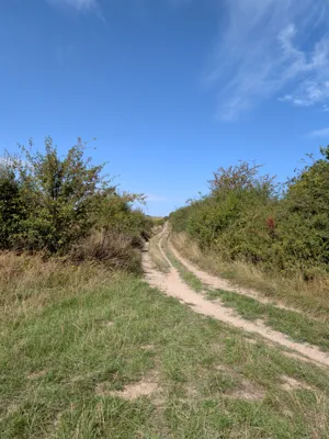 Green lane photo