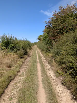 Green lane photo