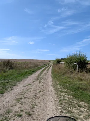Green lane photo
