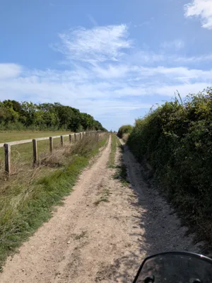 Green lane photo
