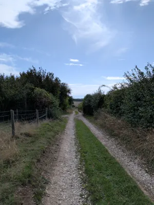 Green lane photo