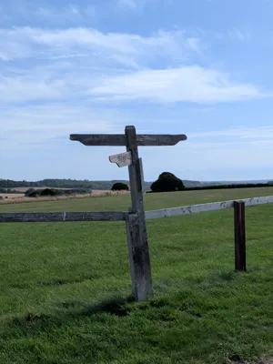 Green lane photo