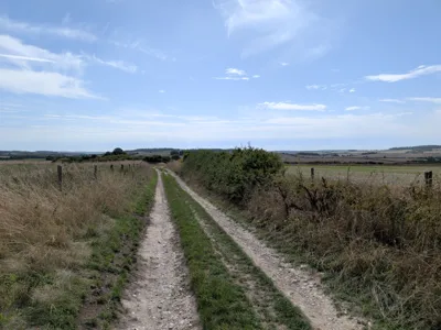 Green lane photo