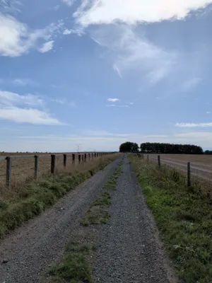 Green lane photo