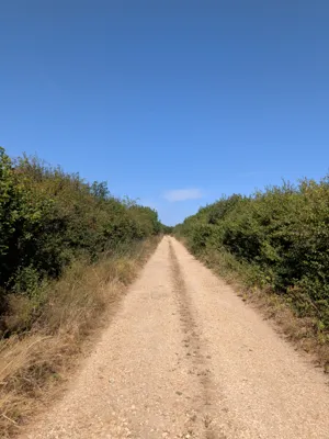 Photo on Walkford Lane