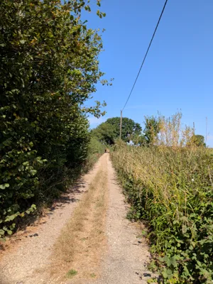 Photo on Walkford Lane