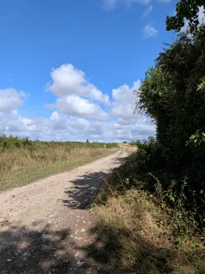 Green lane photo