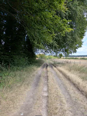 Green lane photo