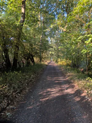 Green lane photo