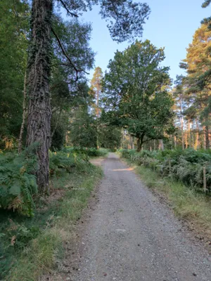 Green lane photo