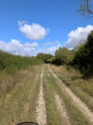 Green lane photo