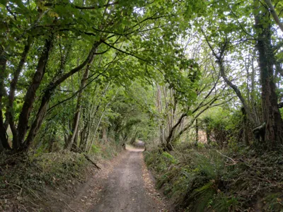 Photo on Mill Lane