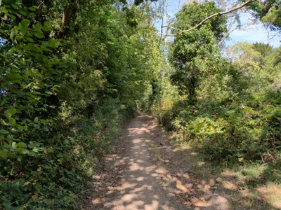 Green lane photo