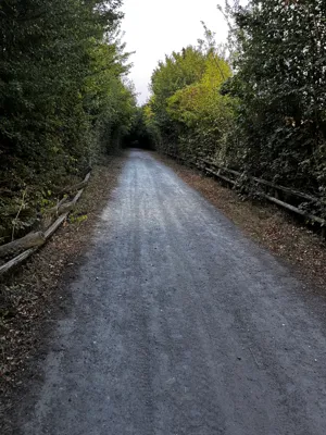 Green lane photo