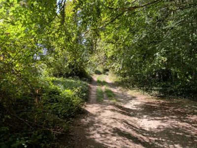 Green lane photo