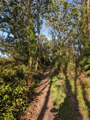 Photo on Bagman's Lane