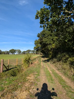 Photo on Bagman's Lane