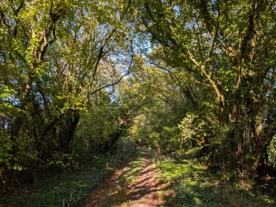 Photo on Bagman's Lane