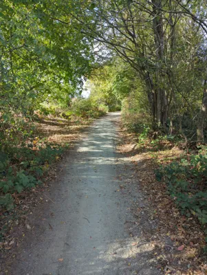 Photo on Dean Lane