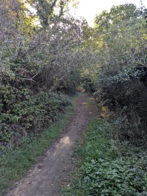 Photo on Lakes Lane