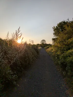 Green lane photo