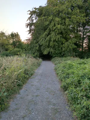 Green lane photo