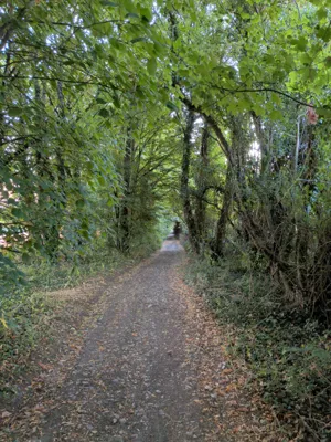 Green lane photo