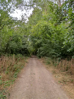 Photo on Mill Lane