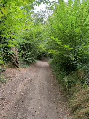 Photo on Mill Lane