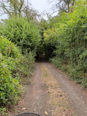 Photo on Mill Lane