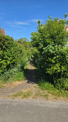 Green lane photo