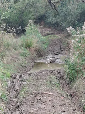 Photo on Nightingale Lane