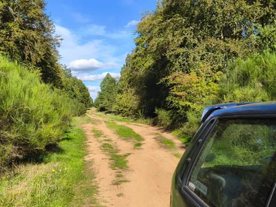 Green lane photo
