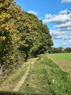 Photo on Suckling Lane