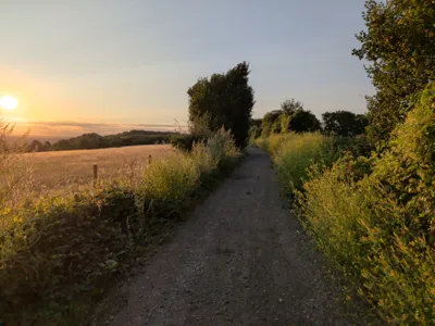Green lane photo