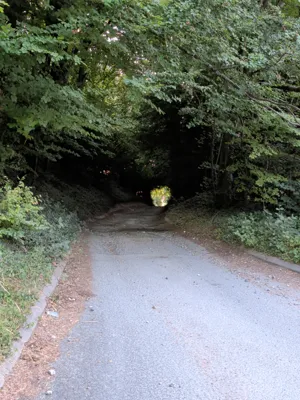 Photo on Pepperbox Hill Byway