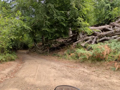 Green lane photo