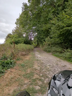 Green lane photo