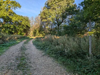 Green lane photo