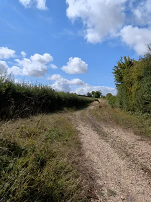 Green lane photo